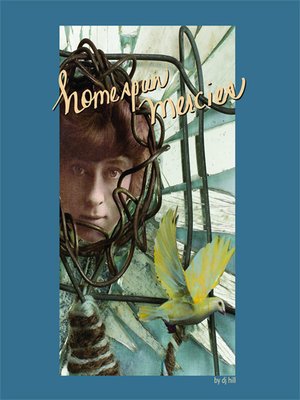 cover image of Homespun Mercies